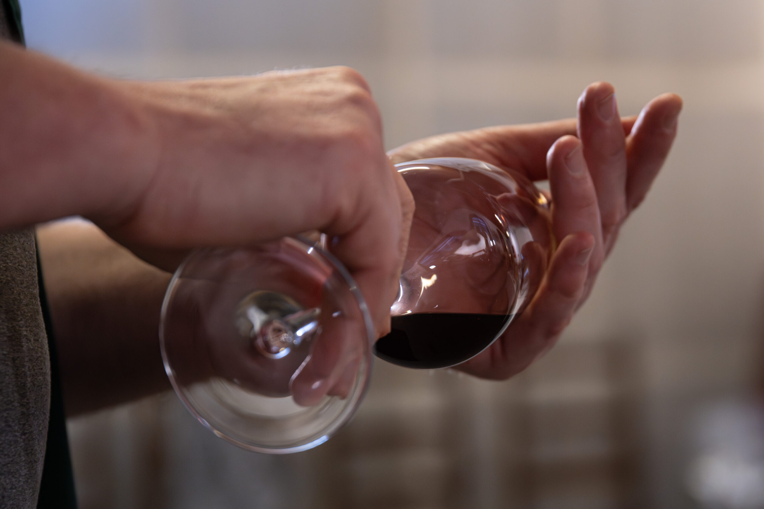 Degustazione-lezione sul vino